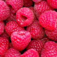 Саджанець Малина Богема